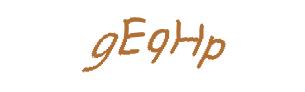 عبارت امنیتی