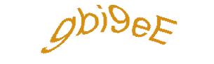 عبارت امنیتی