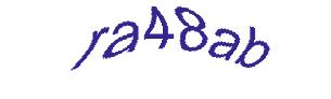 عبارت امنیتی