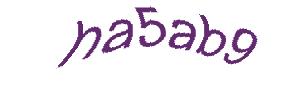 عبارت امنیتی