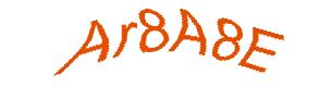 عبارت امنیتی