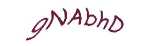 عبارت امنیتی