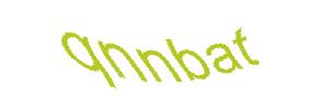 عبارت امنیتی