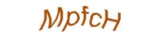 عبارت امنیتی
