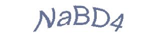 عبارت امنیتی