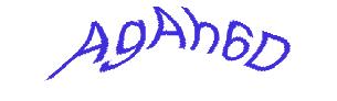 عبارت امنیتی