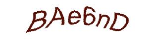 عبارت امنیتی