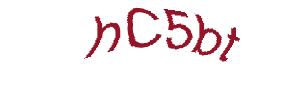 عبارت امنیتی