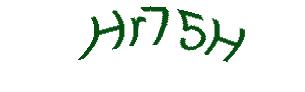 عبارت امنیتی