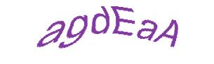 عبارت امنیتی