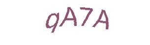 عبارت امنیتی