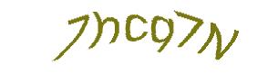 عبارت امنیتی