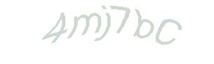 عبارت امنیتی