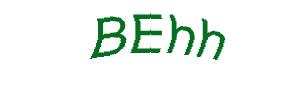 عبارت امنیتی