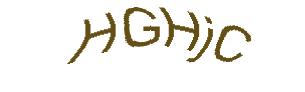 عبارت امنیتی