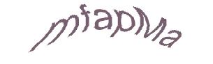 عبارت امنیتی