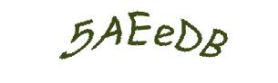 عبارت امنیتی