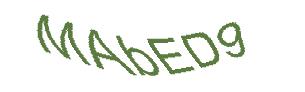 عبارت امنیتی