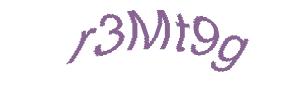 عبارت امنیتی