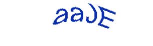 عبارت امنیتی
