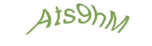 عبارت امنیتی
