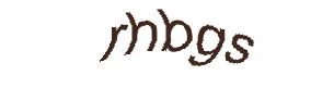 عبارت امنیتی