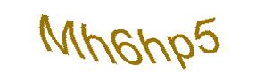 عبارت امنیتی