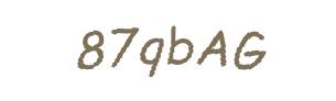 عبارت امنیتی