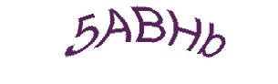 عبارت امنیتی