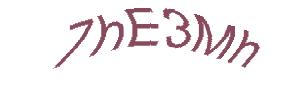 عبارت امنیتی
