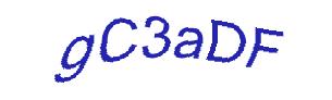 عبارت امنیتی