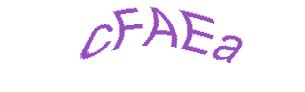 عبارت امنیتی