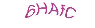 عبارت امنیتی