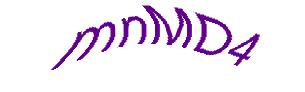 عبارت امنیتی