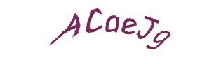 عبارت امنیتی
