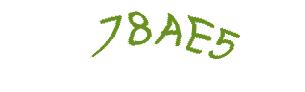 عبارت امنیتی