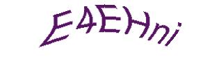 عبارت امنیتی