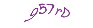 عبارت امنیتی