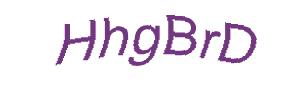 عبارت امنیتی