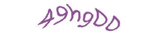 عبارت امنیتی
