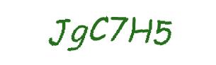 عبارت امنیتی