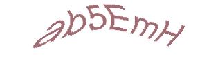 عبارت امنیتی