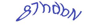 عبارت امنیتی