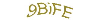 عبارت امنیتی