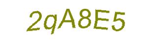 عبارت امنیتی