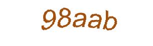 عبارت امنیتی