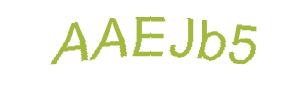 عبارت امنیتی