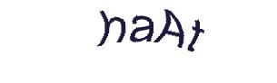عبارت امنیتی