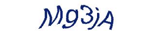 عبارت امنیتی
