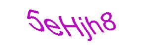 عبارت امنیتی